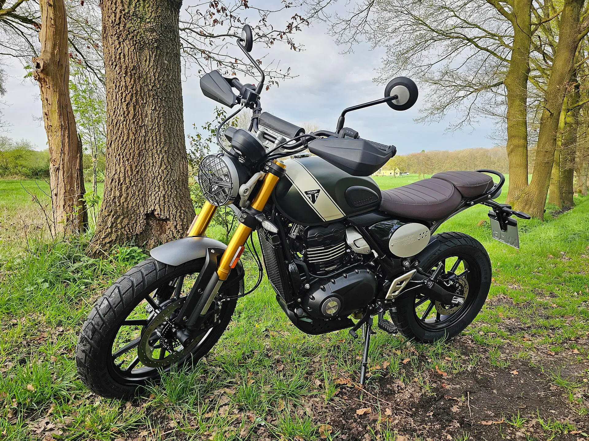 Triumph Scrambler 400 X